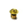 Thermostat, nos