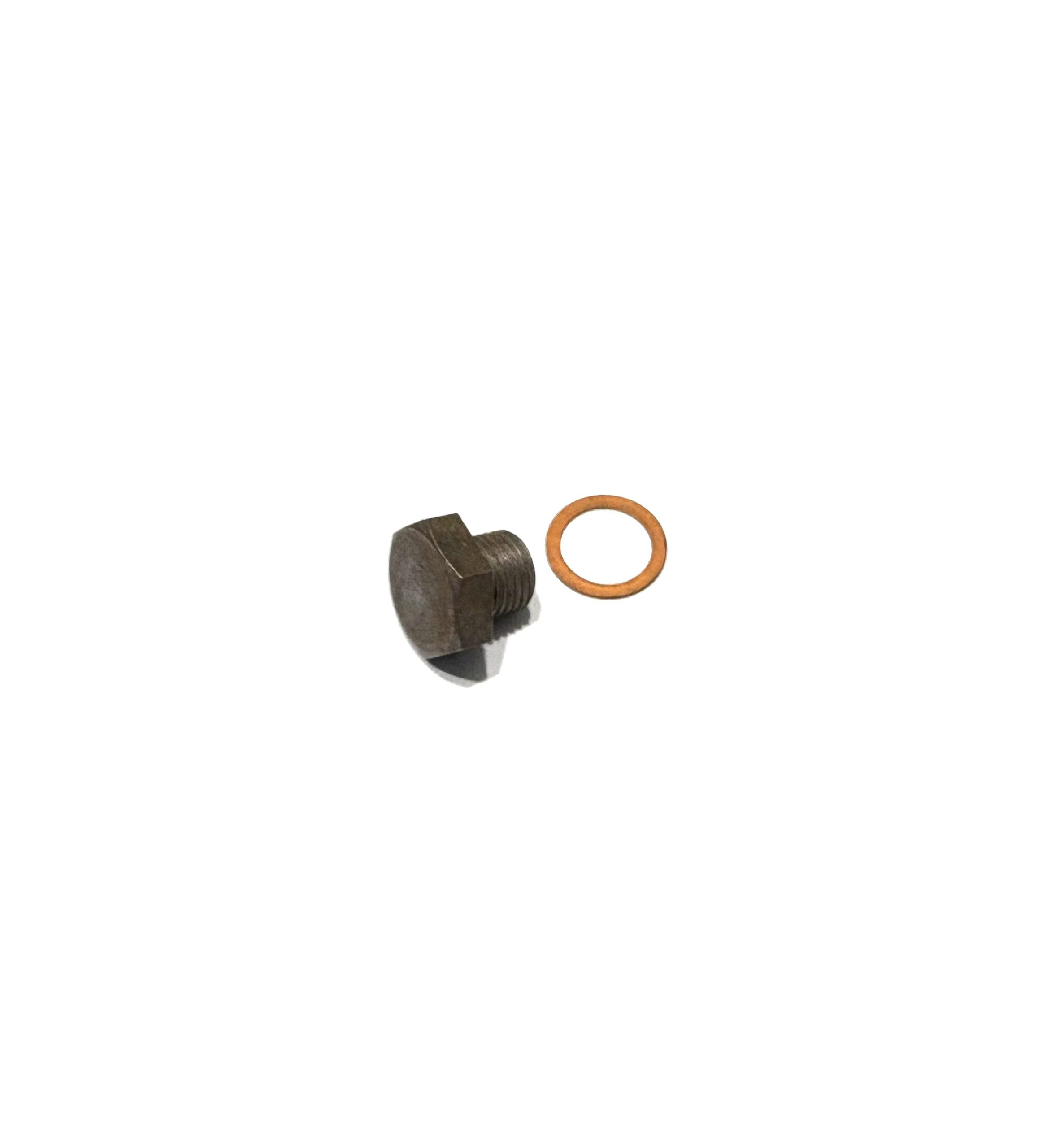 Oil Pan Drain Plug and Washer